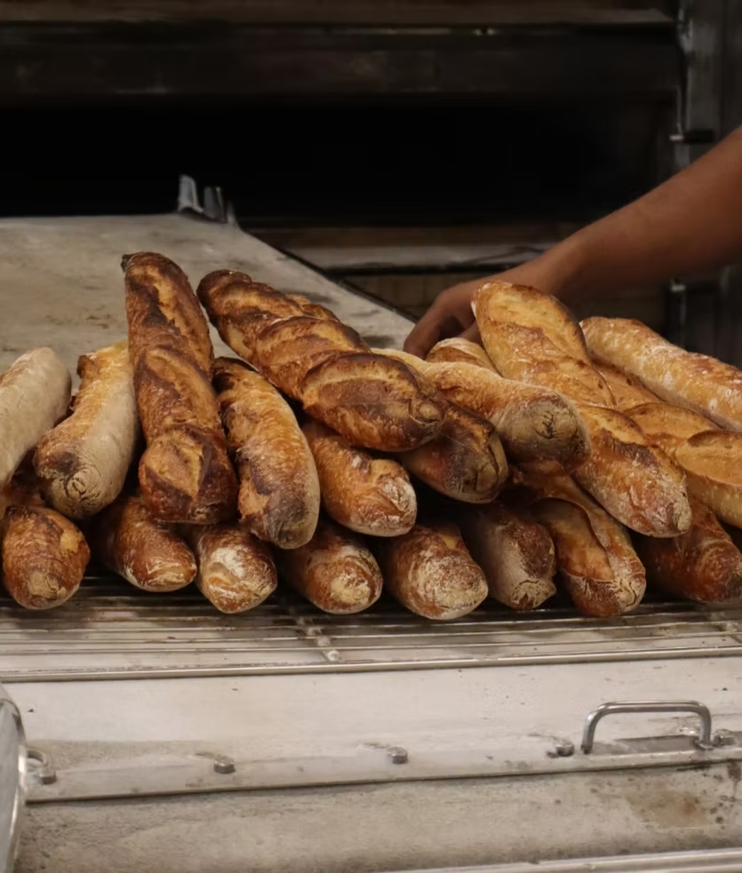 Baguettes Boulangerie Dupain