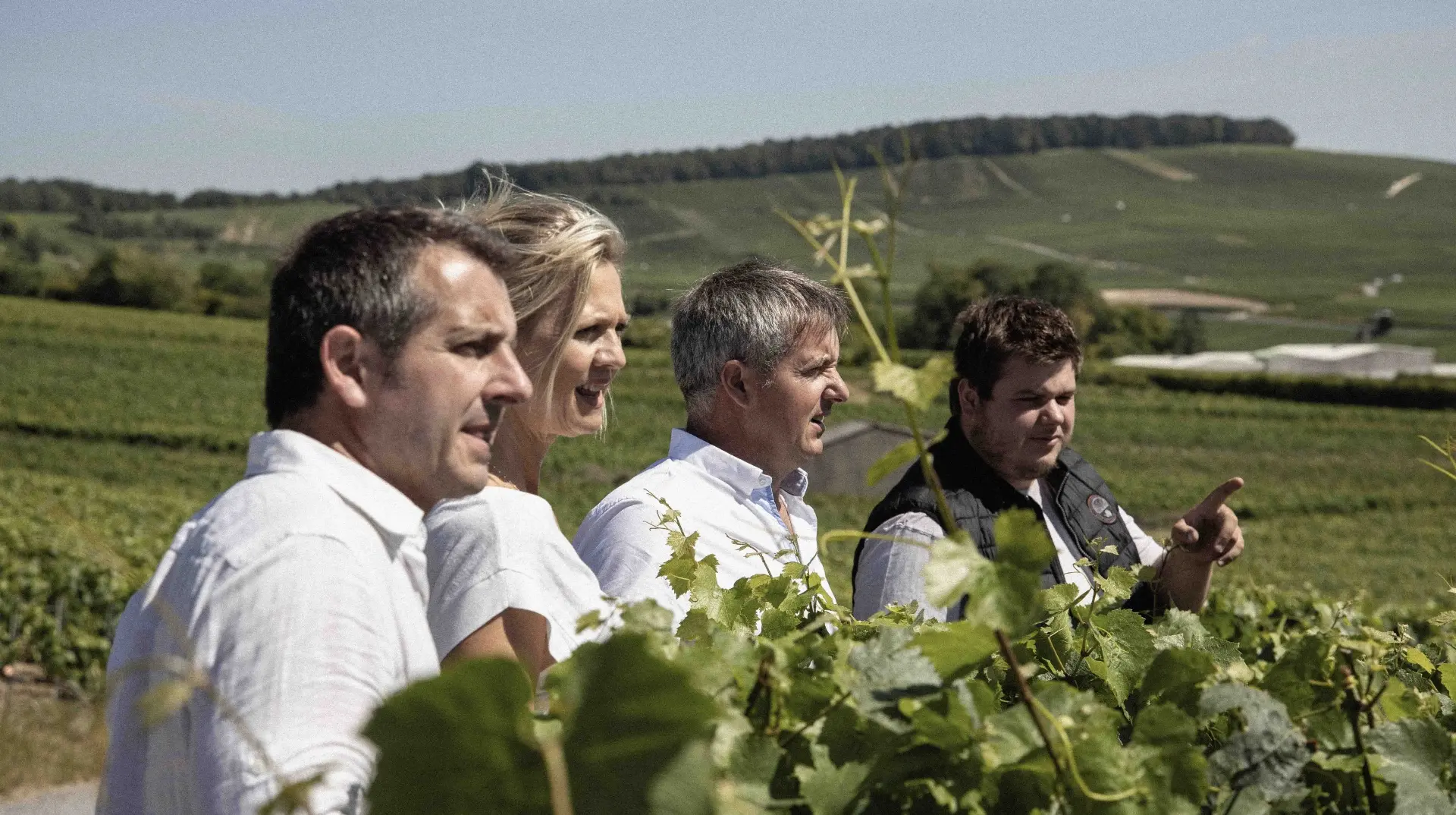 Champagne Famille Colin