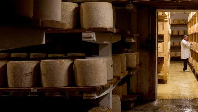 Fromagerie Bonal